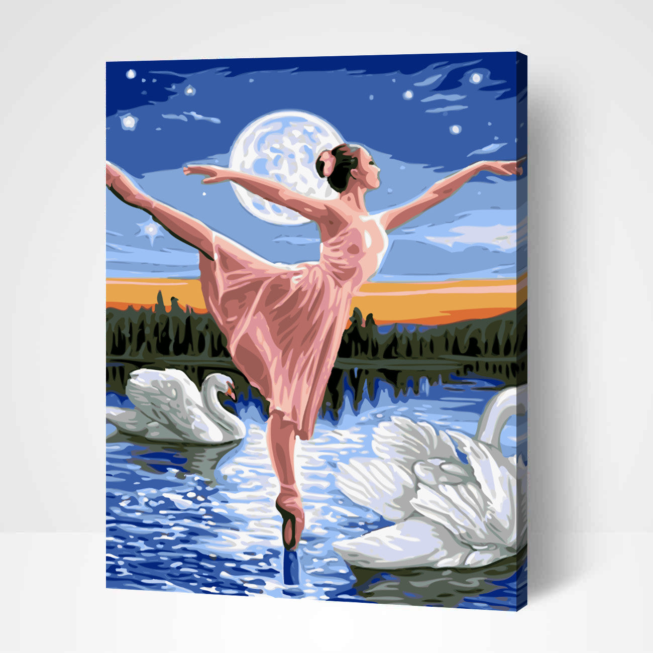 Ballerine au Lac des Cygnes-PEINTURE PAR NUMERO